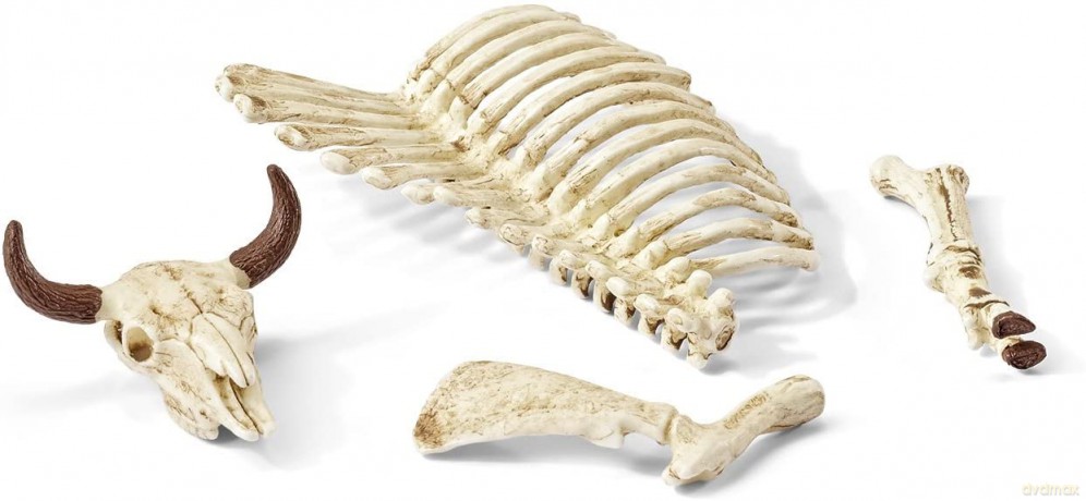 SCHLEICH Kości