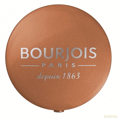 Bourjois Mono Cień do powiek (Ombre A Paupieres) 1,5 g 16 Orange Epice