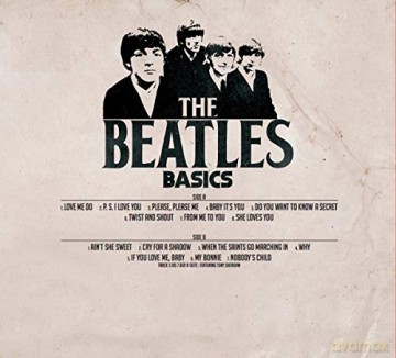 The Beatles: Basics [Winyl]