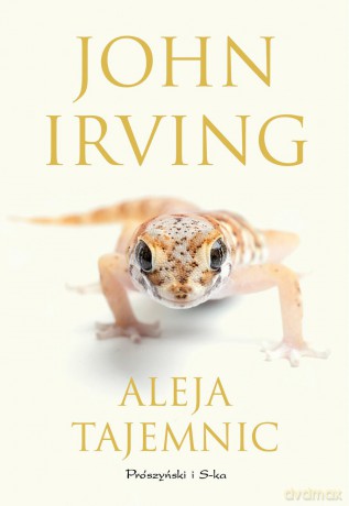 ALEJA TAJEMNIC - JOHN IRVING