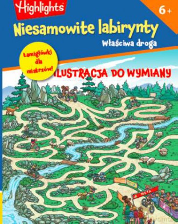 Właściwa droga. Niesamowite labirynty [KSIĄŻKA]