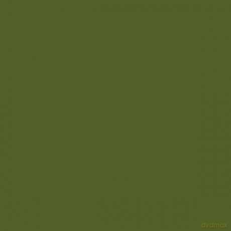 PACTRA Farba A34 artillery green 6 szt