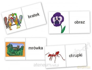 Domino logopedyczne wyrazowo - obrazkowe R [GRA]