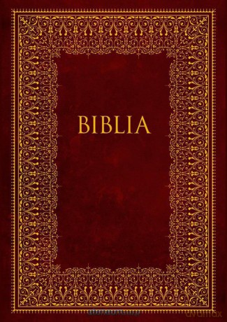 Biblia. Pismo Święte Starego i Nowego Testamentu [KSIĄŻKA]