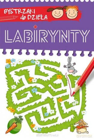 BYSTRZAKI do dzieła. Labirynty [KSIĄŻKA]