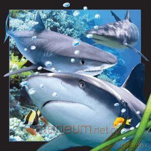 Magnes 3D Rekin