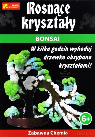Rosnące kryształy. Bonsai