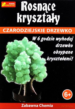 Rosnące kryształy. Czarodziejskie drzewko zielone