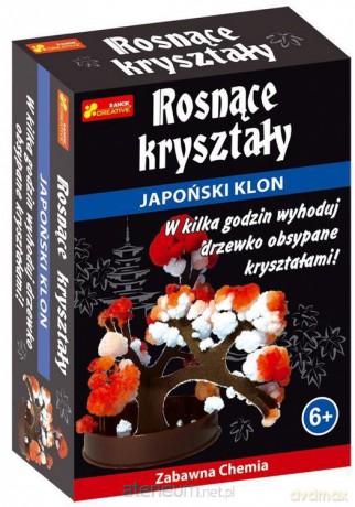 Rosnące kryształy. Japoński klon