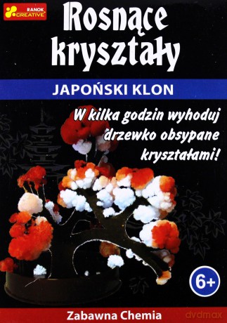 Rosnące kryształy. Japoński klon