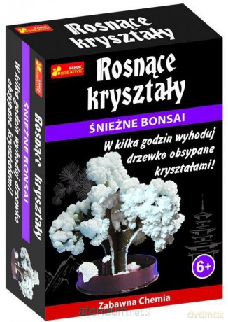 Rosnące kryształy. Śnieżne bonsai