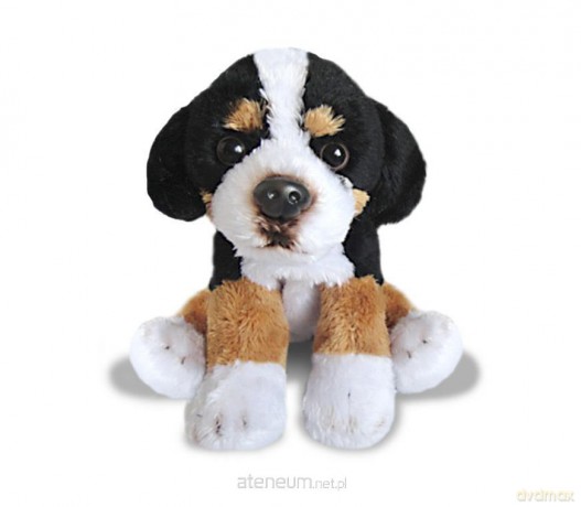 Siedzący Berneński Pies Pasterski 13 cm