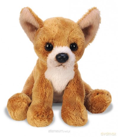 Siedzący Chihuahua 13 cm