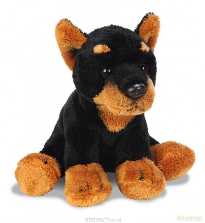 Siedzący Doberman 13 cm