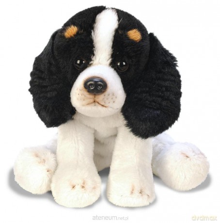 Siedzący King Charles Spaniel 13 cm