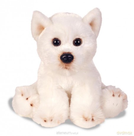 Siedzący West Highland Terrier 13 cm