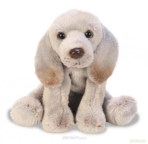Siedzący Wyżeł Weimarski 13 cm
