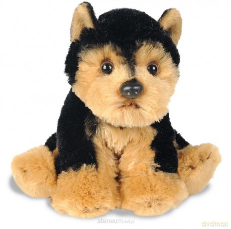 Siedzący Yorkshire Terrier 13 cm