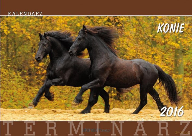 Terminarz 2016 Ścienny 13PL Konie [KALENDARZ]
