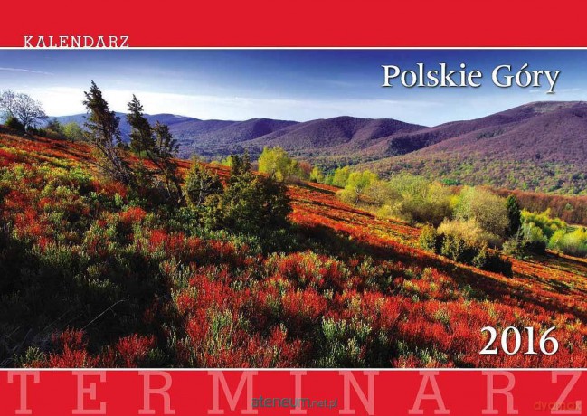 Terminarz 2016 Ścienny 13PL Polskie góry [KALENDARZ]