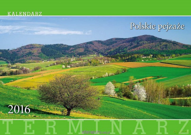 Terminarz 2016 Ścienny 13PL Polskie pejzaże [KALENDARZ]