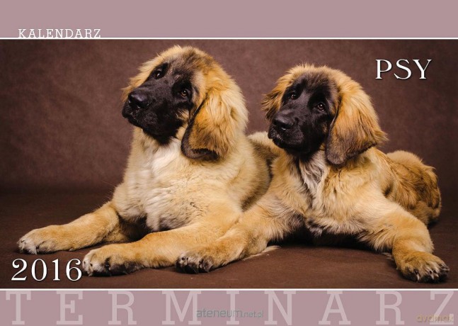 Terminarz 2016 Ścienny 13PL Psy [KALENDARZ]