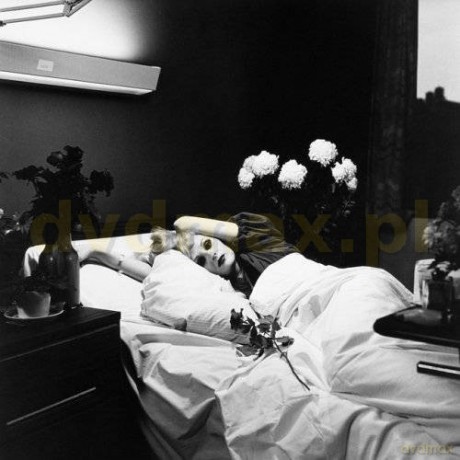 Antony And The Johnsons: I Am A Bird Now [CD]