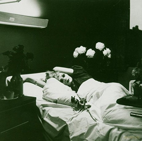 Antony And The Johnsons: I Am A Bird Now [Winyl]