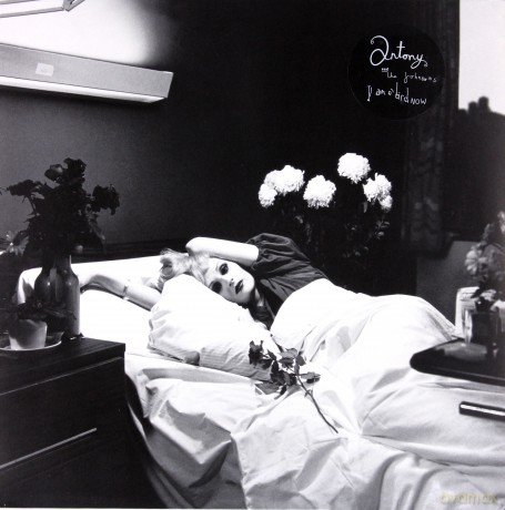 Antony And The Johnsons: I Am A Bird Now [Winyl]