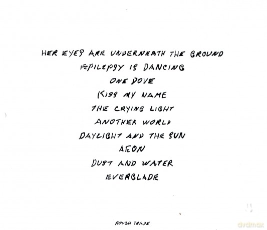 Antony And The Johnsons: The Crying Light [CD]