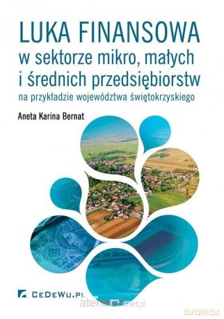 Luka finansowa w sektorze mikro, małych - Aneta Karina Bernat [KSIĄŻKA]