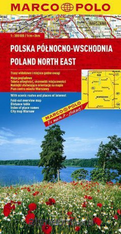 Mapa drogowa - Południowo-Wschodnia [KSIĄŻKA]