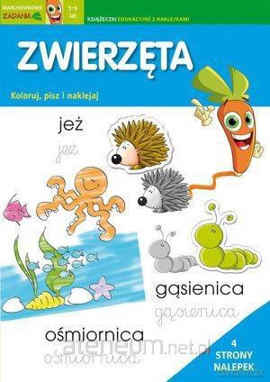 Marchewkowe zadania 3-6 lat. Zwierzęta [KSIĄŻKA]
