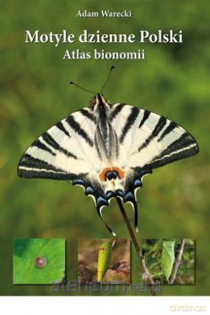 Motyle dzienne Polski. Atlas bionomii (twarda) - Adam Warecki [KSIĄŻKA]