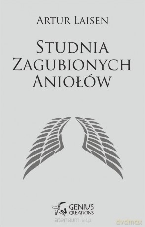 Studnia Zagubionych Aniołów - Artur Laisen [KSIĄŻKA]