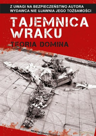 Tajemnica wraku. Teoria domina [KSIĄŻKA]