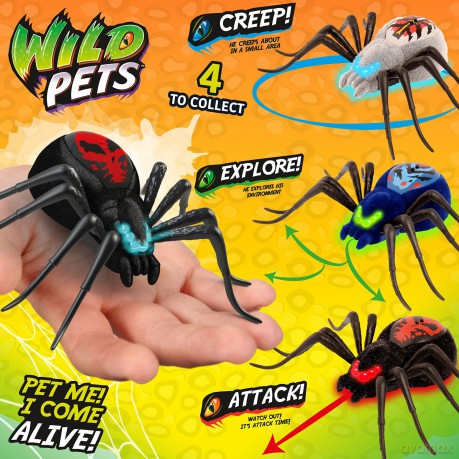 WILD PETS Pająk