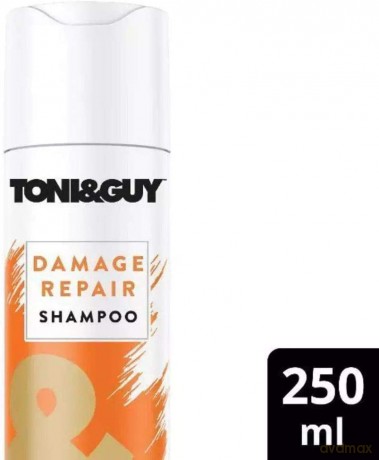 Toni&Guy Szampon do zniszczonych włosów Shampoo For Damaged Hair 250 ml