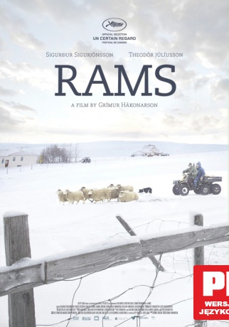 Barany. Islandzka opowieść [Blu-Ray]
