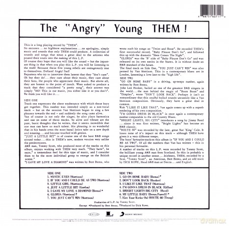 Them: The Angry Young Them [Winyl]