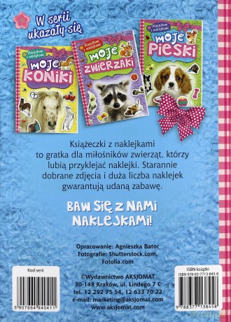 Minialbum z naklejkami. Moje kotki [KSIĄŻKA]