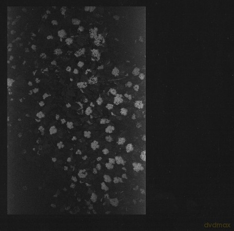 Motorama: Poverty [CD]