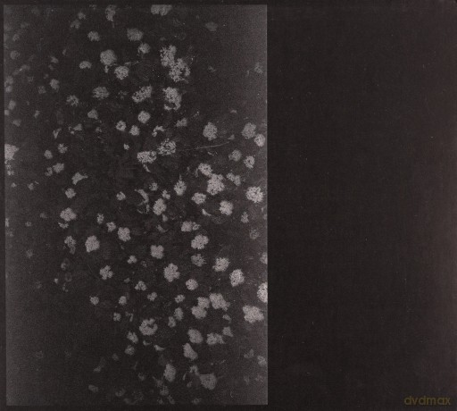 Motorama: Poverty [CD]