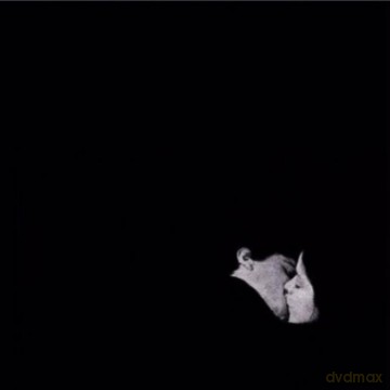 Bob Moses: Days Gone By [2xWinyl]