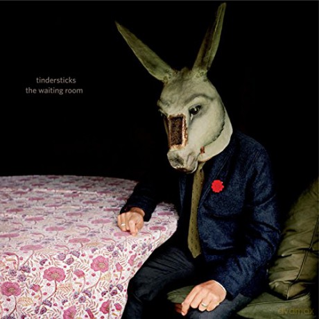 Tindersticks: The Waiting Room [CD]