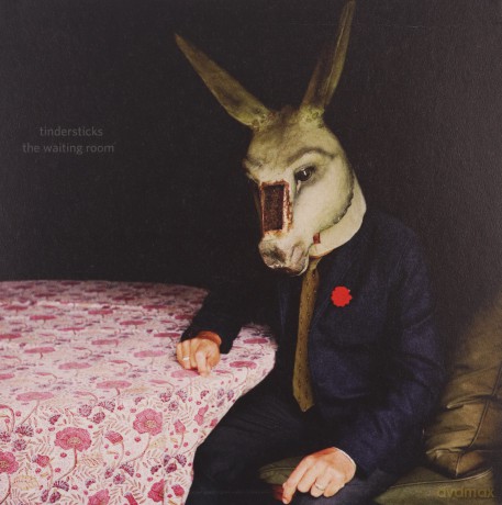 Tindersticks: The Waiting Room (Limited Deluxe Edition) [CD]+[DVD]