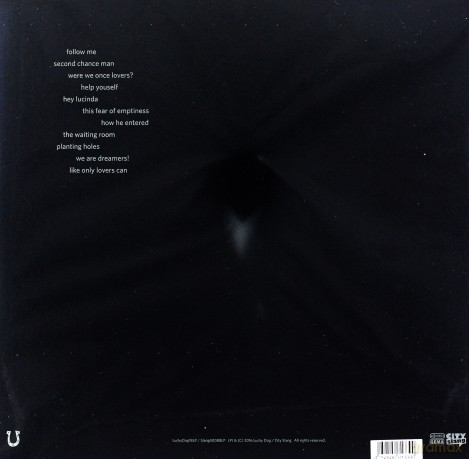 Tindersticks: The Waiting Room (Limited Edition) [Winyl]+[DVD]