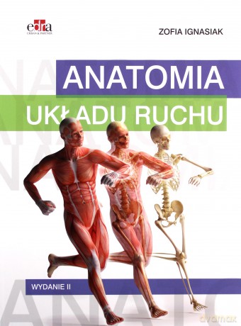 Anatomia układu ruchu - Z. Ignasiak [KSIĄŻKA]