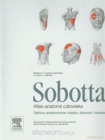 Atlas anatomii człowieka Sobotta [KSIĄŻKA]