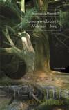 Domeny wyobraźni: Andersen i Jung - Agnieszka Miernik [KSIĄŻKA]